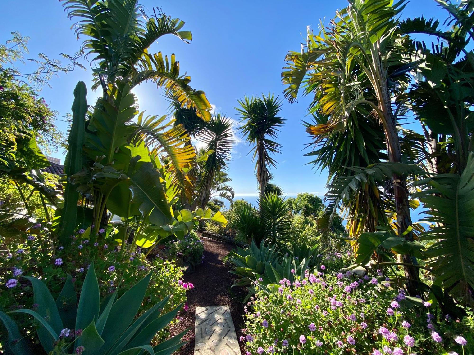 Tenerife - Traumblick, Tropischer Garten, Viel Platz & Ruhe *