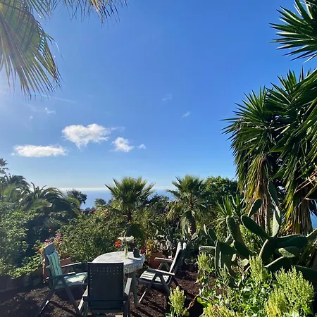 Finca Tenerife - Traumblick, Tropischer Garten, Viel Platz & Ruhe Icod De Los Vinos Exterior photo