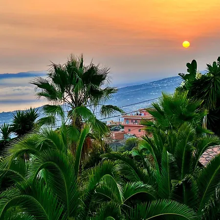 Finca Tenerife - Traumblick, Tropischer Garten, Viel Platz & Ruhe Icod De Los Vinos Exterior photo