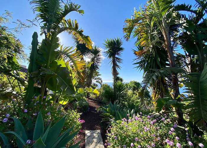 Finca Tenerife - Traumblick, Tropischer Garten, Viel Platz & Ruhe