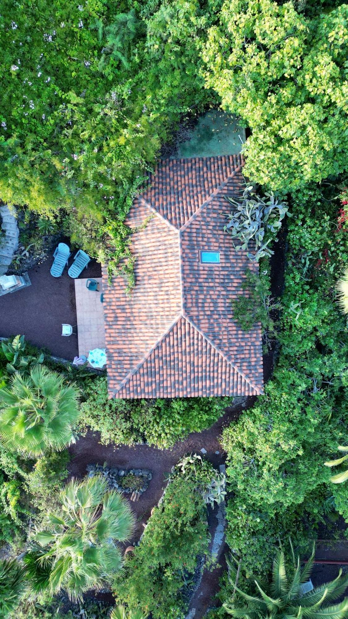 Tenerife - Traumblick, Tropischer Garten, Viel Platz & Ruhe *
